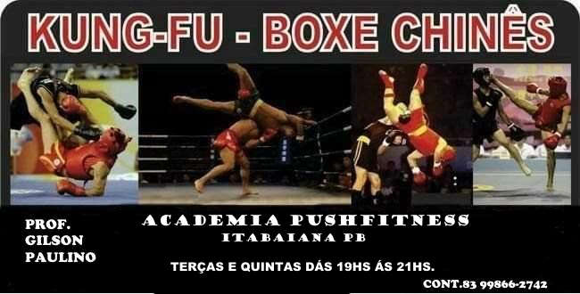 PRATIQUE KUNG FU,BOXE CHINÊS, FU LUNG CHI,DEFESA PESSOA ,LUTAS DE SOLO.,TÉCNICAS DE COMBATE.